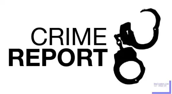 Houseboy Leads Gang To Kidnap Boss’ Son In Edo